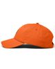 Dalix Dalix Lobster Dad Cap - 5