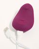 Dame Products Dame Pom - 2