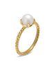 David Yurman Pearl Classics Ring in 18K Yellow Gold with Diamonds, 2mm - 2