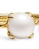 David Yurman Pearl Classics Ring in 18K Yellow Gold with Diamonds, 2mm - 4