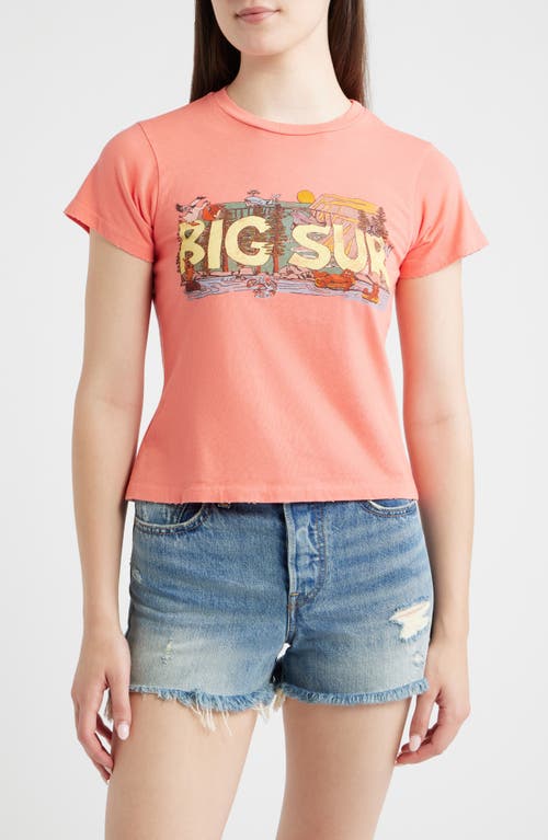Daydreamer Daydreamer Big Sur Graphic T-Shirt