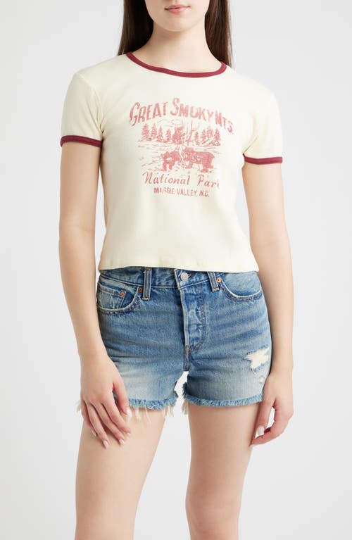 Daydreamer Daydreamer Great Smoky Mountains Graphic Ringer T-shirt