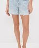 DAZE DAZE Crossroad Shorts Reverie Vintage 28 - 2