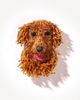 Deepa Gurnani Golden Retriever Brooch - 1