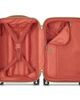 Delsey Paris Delsey Paris Chatelet Air 2.0 2 Piece Set Backpack & 21" Carry On Spinner Luggage - 4