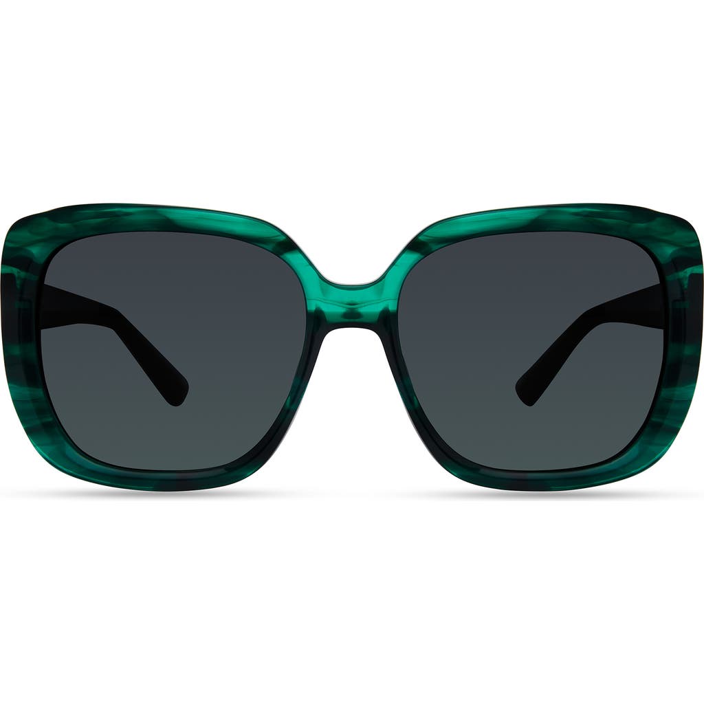Derek Lam 10 Crosby Derek Lam 10 Crosby River Sunglasses