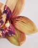 DesignB London DesignB London fabric flower hair claw clip in amber rust-Orange - 2
