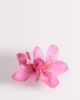 DesignB London DesignB London fabric flower hair claw clip in fuchsia pink - 1