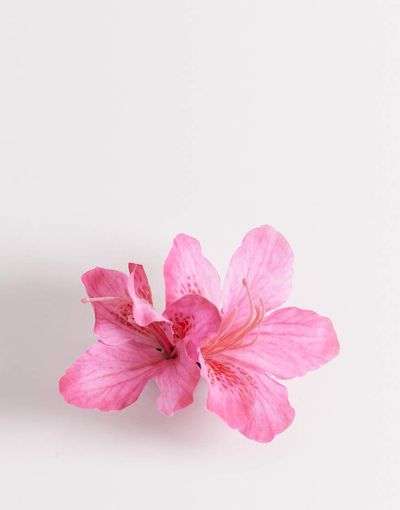 DesignB London DesignB London fabric flower hair claw clip in fuchsia pink