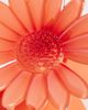 DesignB London DesignB London flower hair claw in peach-Orange - 3