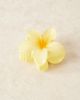 DesignB London DesignB London Hawaiian flower hair clip in yellow - 2