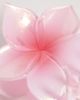 DesignB London DesignB London hibiscus flower hair claw clip in pink - 3