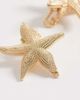 DesignB London DesignB London pack of 2 metal starfish hair clips in gold - 3