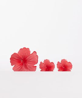 DesignB London DesignB London pack of 3 hibiscus flower hair claw clips in fushia pink