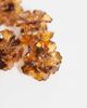 DesignB London DesignB London pack of 6 mini tropical flower hair clips in tort-Brown - 2