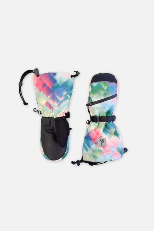 Deux par Deux Deux par Deux Diamond Teknik Waterproof Cordura Reinforced Winter Mittens