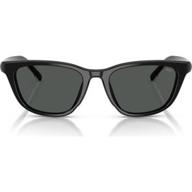 DIESEL® DIESEL® 52mm Cat Eye Sunglasses