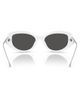 DIESEL® DIESEL® Geck-D 54mm Oval Sunglasses - 5