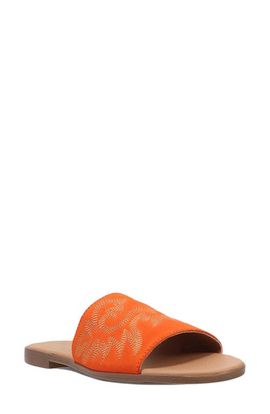 Dingo Dingo Lasso Sandal