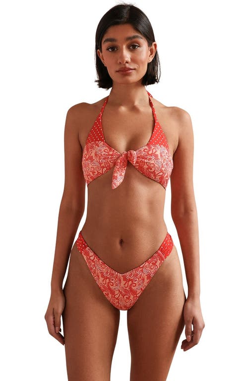 Dippin Daisys Dippin Daisys Le Plage Triangle Bikini Top