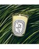 Diptyque Diptyque Citronnelle Classic Candle - 2