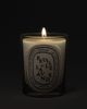 Diptyque Diptyque Feuille De Lavande Classic Candle - 3