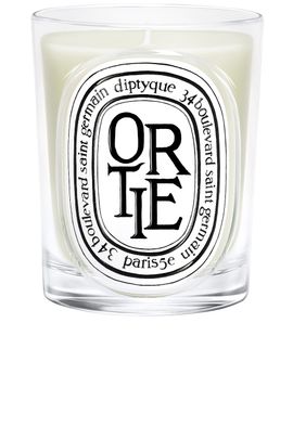 Diptyque Diptyque Ortie Classic Candle