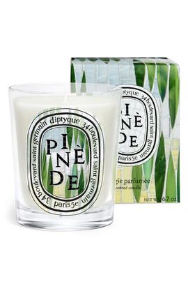 Diptyque Diptyque Pinède (Pine Grove) Classic Candle 