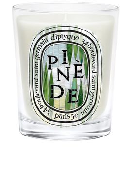 Diptyque Diptyque Pinede Classic Candle