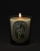 Diptyque Diptyque Pinede Classic Candle - 3