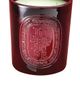 Diptyque Diptyque Tubereuse Extra Large Candle - 1