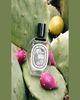 DIPTYQUE Ilio Eau de Toilette, 3.4 oz. - 4