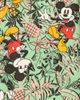 Disney Disney Mickey Mouse Button-Down T-Shirt & Shorts Set - 3