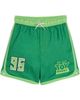 Disney Disney Toy Story Short Sleeve Rash Guard and Swim Trunks Set - 2