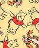Disney Disney Winnie the Pooh Baby French Terry 2-Piece T-Shirt and Shorts Set - 3