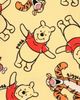 Disney Disney Winnie the Pooh French Terry 2-Piece T-Shirt and Shorts Set - 4