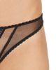 Dita Von Teese Dita Von Teese Muse G-String - 4