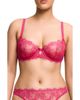 Dita Von Teese Dita Von Teese Zsa Zsa Underwire Padded Lace Bra - 1