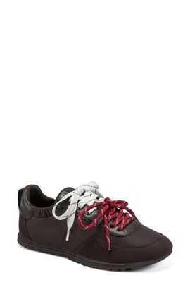 DKNY DKNY Arianna Low Top Sneaker