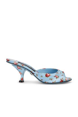 Dolce & Gabbana Dolce & Gabbana Mid Sandal
