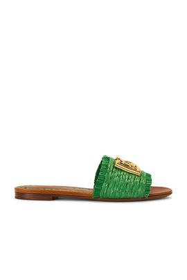 Dolce & Gabbana Dolce & Gabbana Raffia Flat Slide