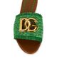 Dolce & Gabbana Dolce & Gabbana Raffia Flat Slide - 4