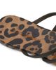 Dolce & Gabbana Women's DG Jelly Printed Sandals - 6