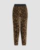 Dolce & Gabbana Women's Leopard Cropped Stretch Leggings - 6