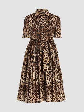 Dolce & Gabbana Women's Leopard Print Cotton Poplin Midi Shirtdress