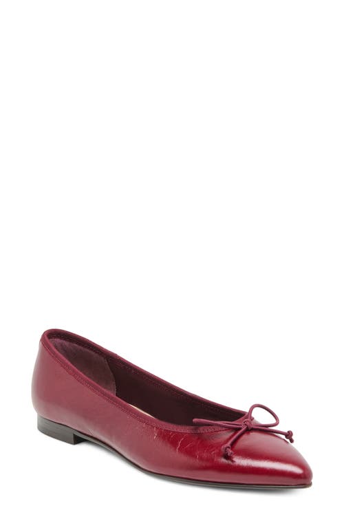 Dolce Vita Dolce Vita Celio Pointed Toe Flat