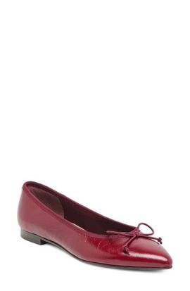 Dolce Vita Dolce Vita Celio Pointed Toe Flat