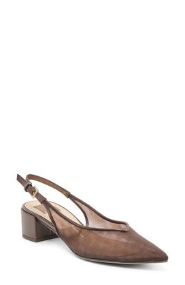 Dolce Vita Dolce Vita Cenna Pointed Toe Slingback Pump