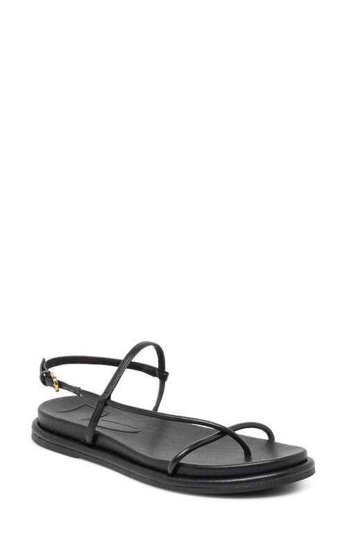 Dolce Vita Dolce Vita Dom Strappy Sandal