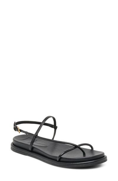 Dolce Vita Dolce Vita Dom Strappy Sandal